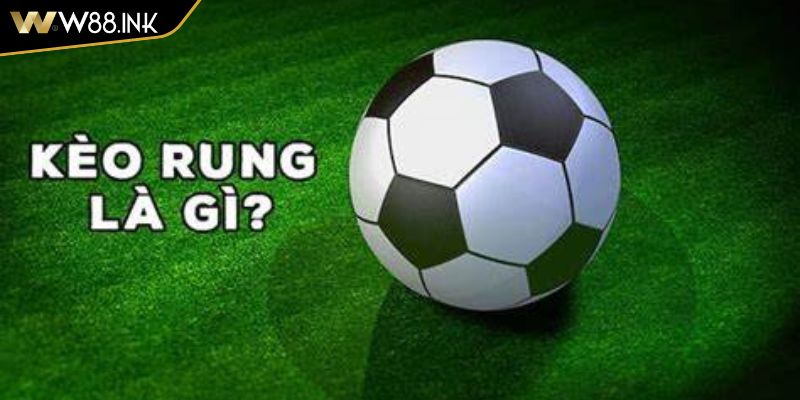 Khái niệm và điểm đặc trưng kèo rung W88 